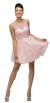 Bejeweled Bust Short Babydoll Homecoming Party Dress in Blush